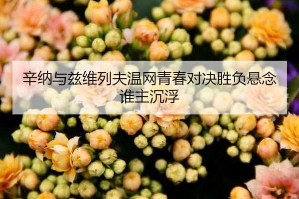 xin-na-yu-zi-wei-lie-fu-wen-wang-qing-chun-dui-jue-sheng-fu-xuan-nian-shui-zhu-chen-fu-2-402.jpg