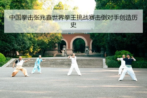 中国拳击张兆鑫世界拳王挑战赛击倒对手创造历史